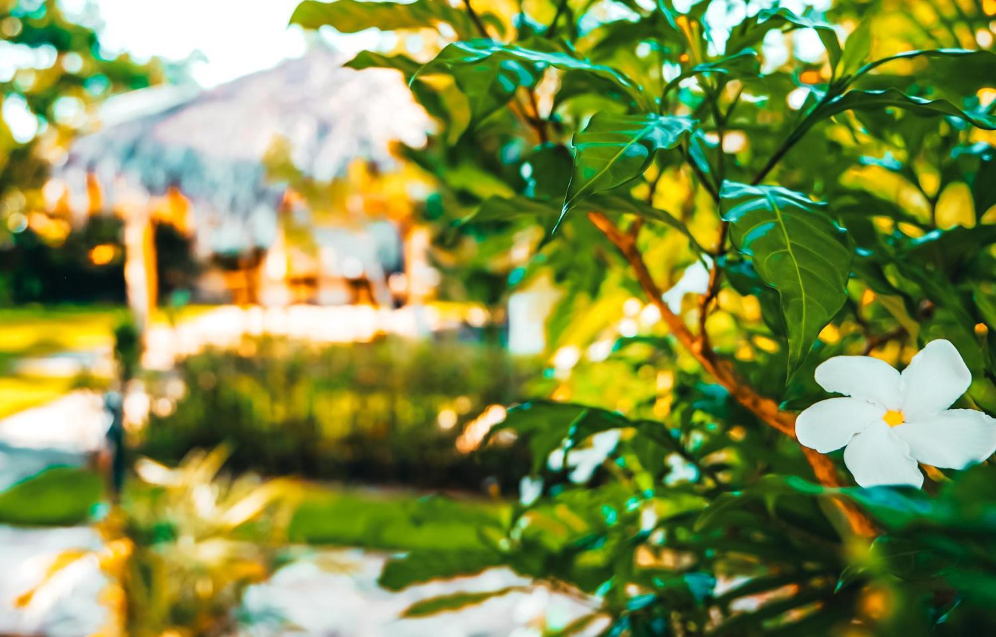 Hotel Enjoy Las Terrenas Exterior photo