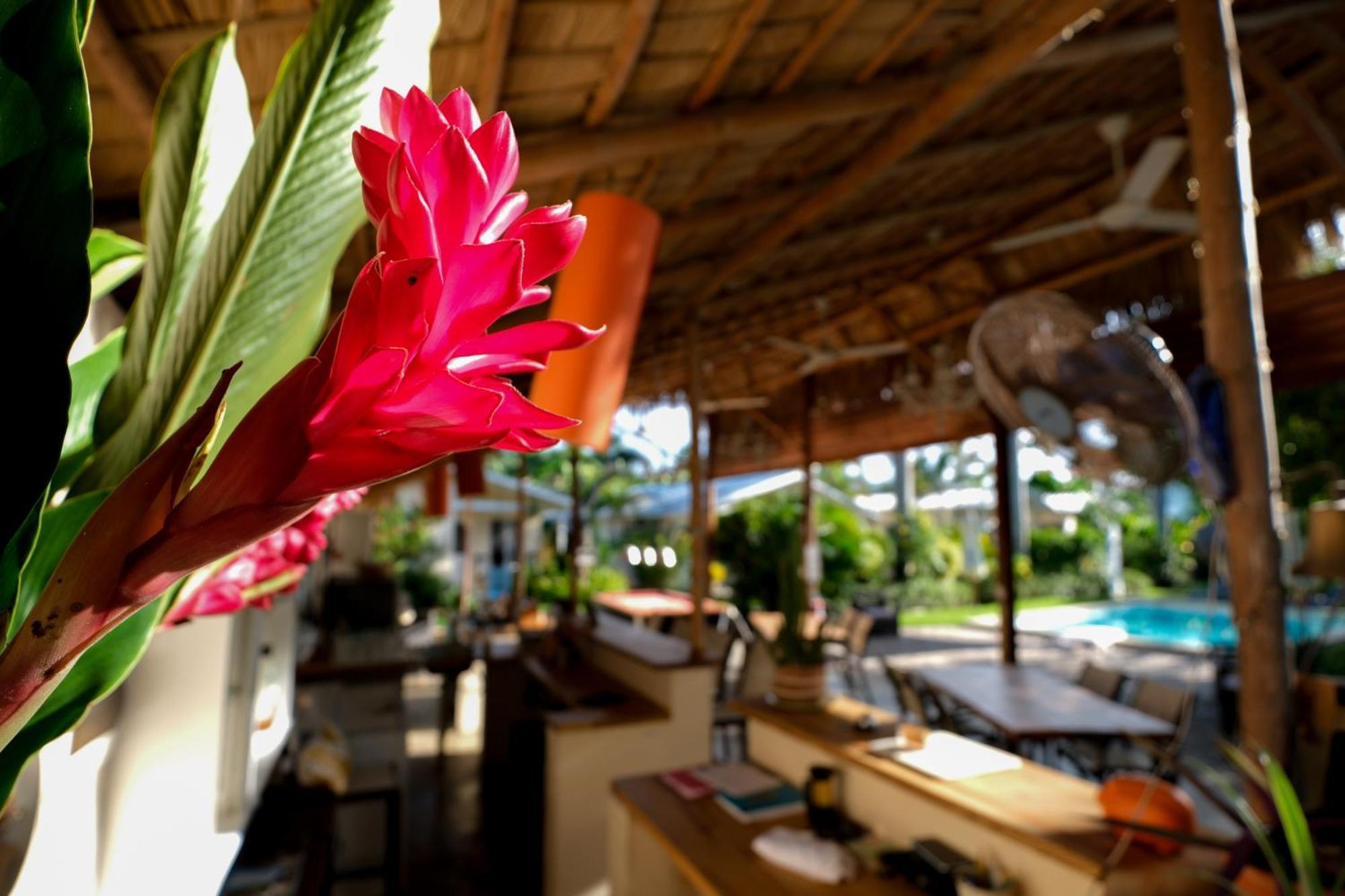 Hotel Enjoy Las Terrenas Exterior photo